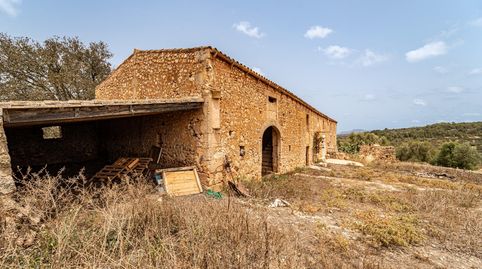 Casa Rústica del Siglo XVIII con 46 hectáreas de terreno, en la cima de una montaña en Manacor, imatge 4