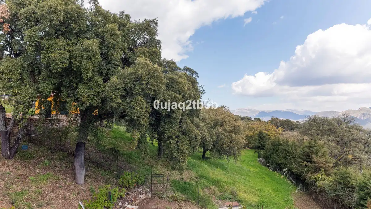 Terreny residencial en venda a Cortes de la Frontera, imagen 18