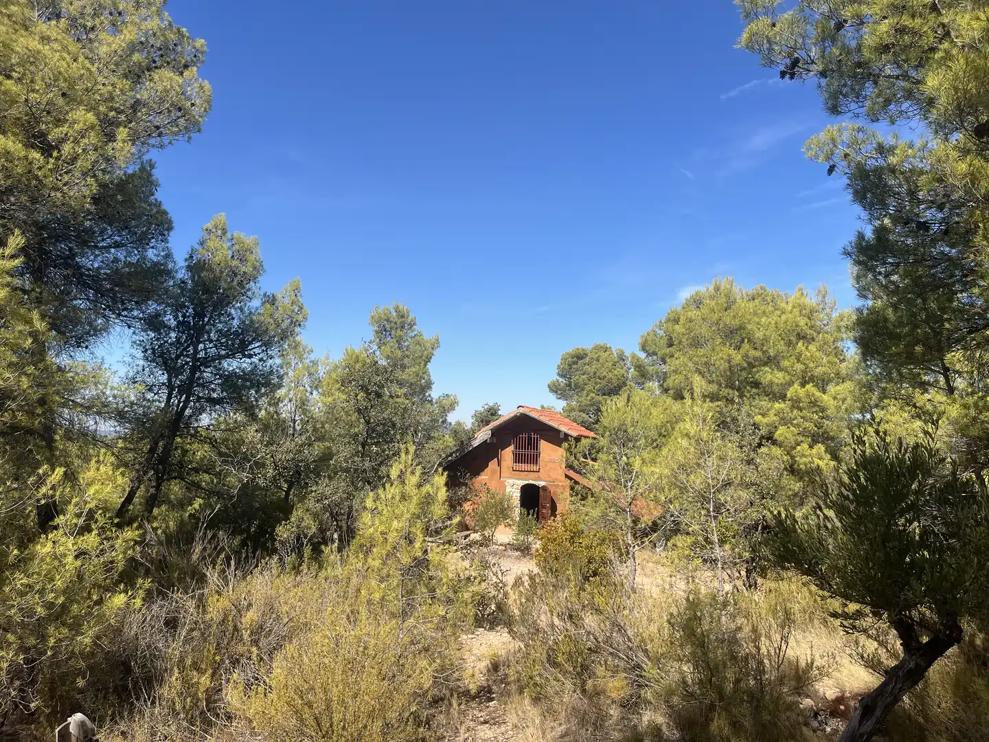 Finca rústica en venta en La Pobla de Cérvoles, Lleida