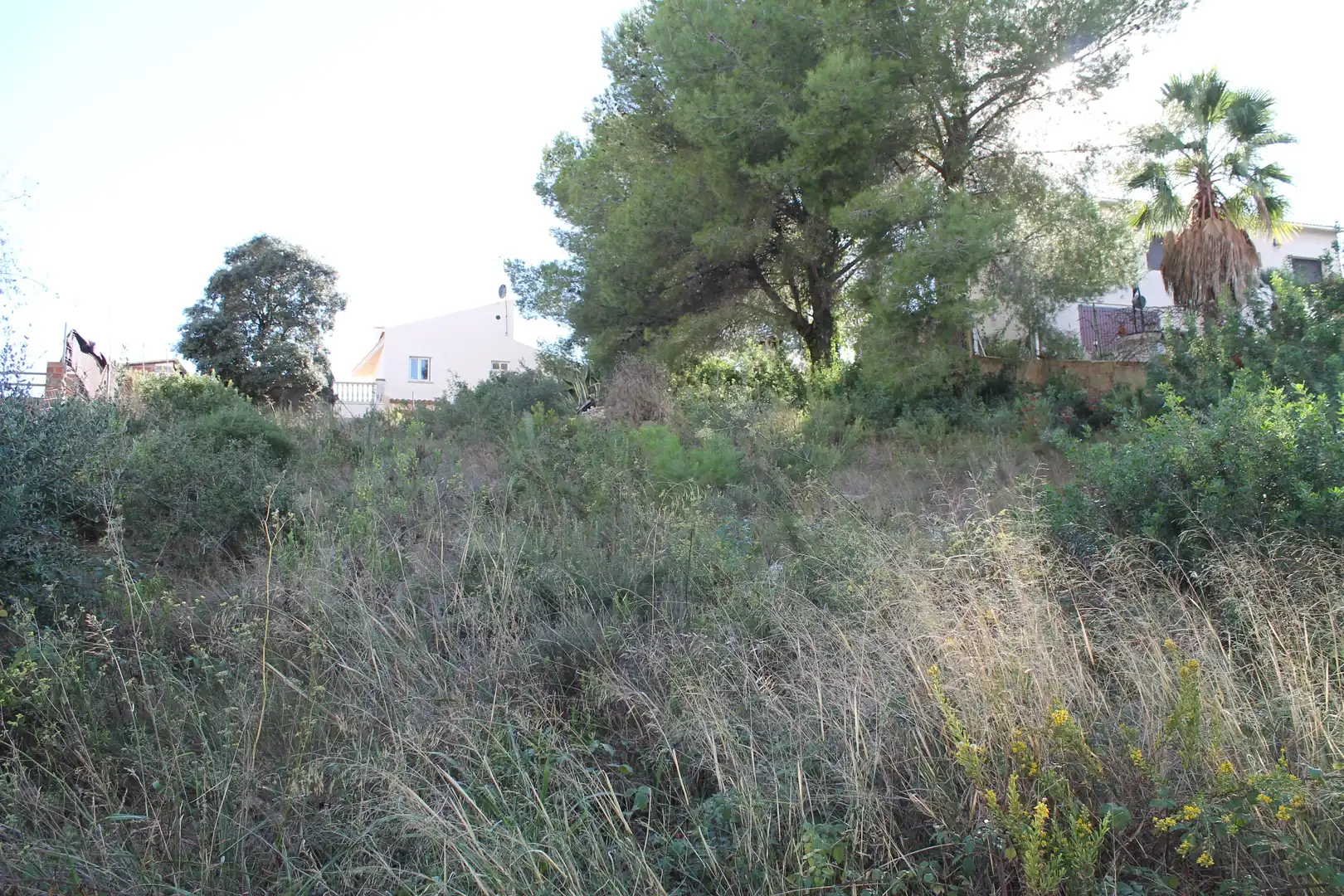 Wohnbaugrundstück zum Verkauf in Carrer Tomàs Breton 59, imagen 4