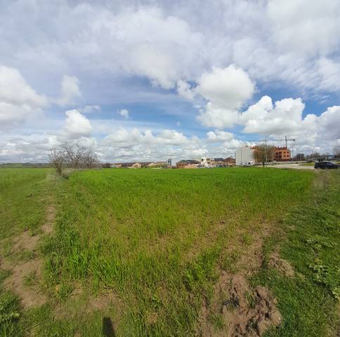 Terreno en Venta en   PARAJE PERALEJO , Denominación: Paraje: PERALEJO en Centro - Manguilla