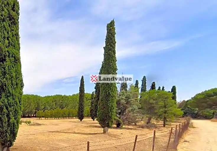 Rural land for sale in Polígono 3, Parcelas 25,27,28,33,34, imagen 5