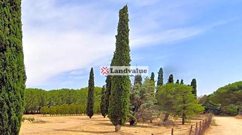 Foto 5 de Terreno en venta en Polígono 3, Parcelas 25,27,28,33,34, La Garena, Alcalá de Henares