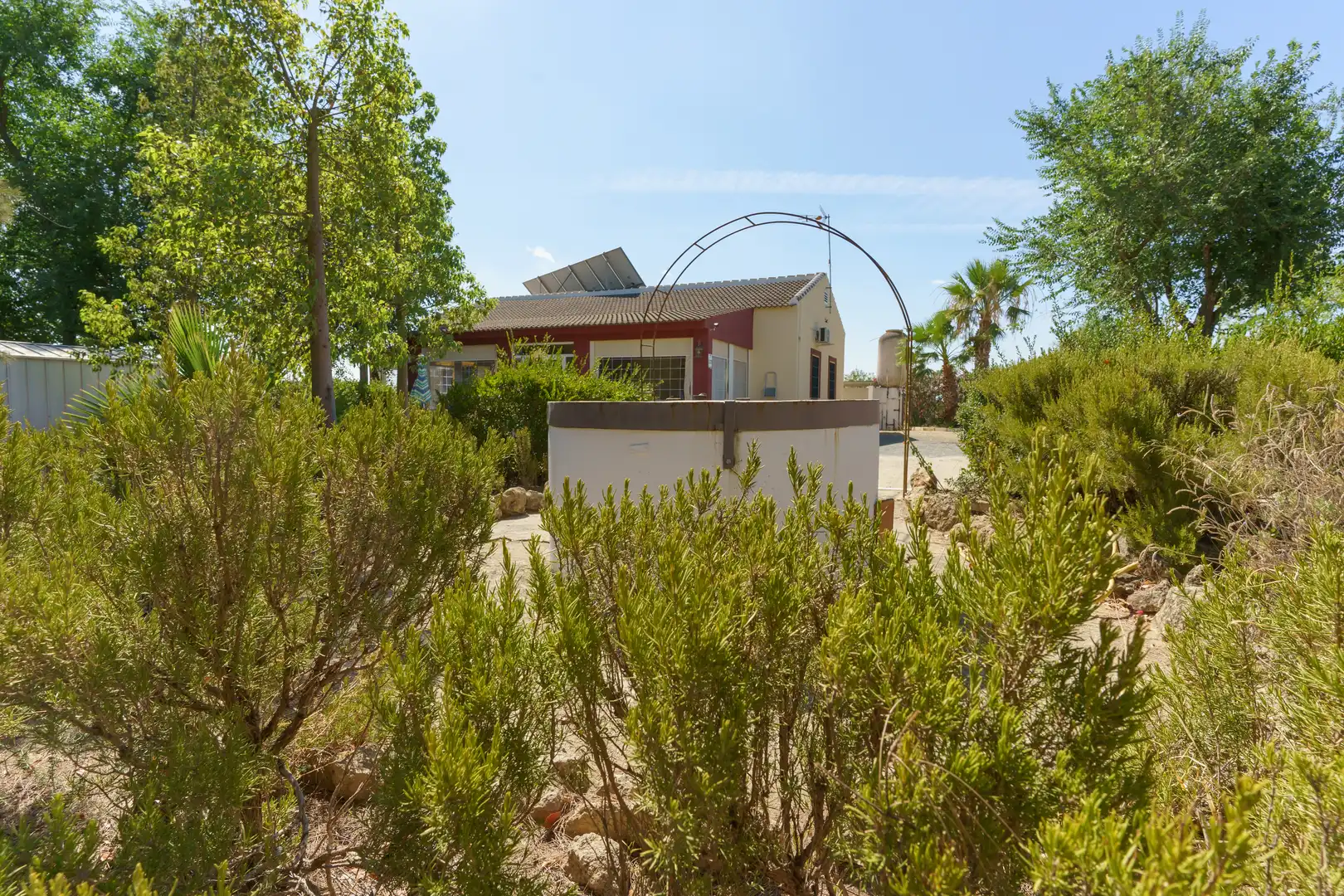 Vista exterior de Finca rústica en venta en La Palma del Condado con Jardín privado, Terraza y Piscina
