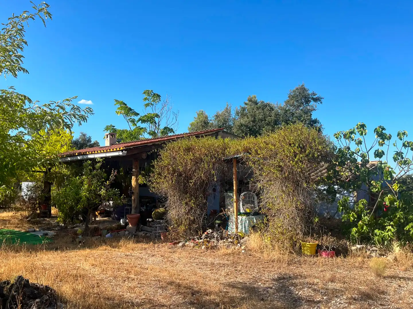 Terreno rustico in vendita a Arnes, imagen 2
