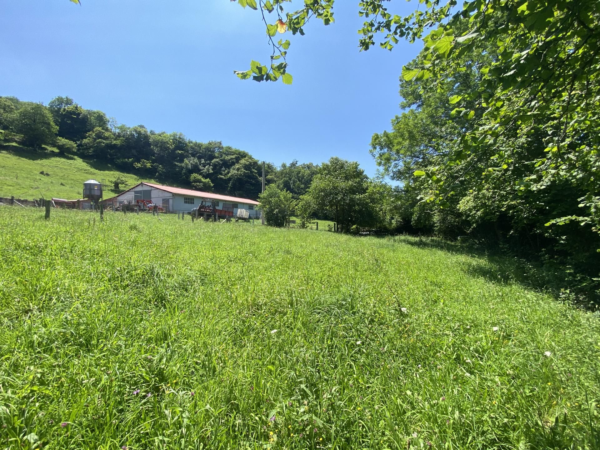 Residential for sale in Cangas de Onís