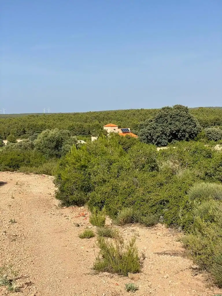 Casa rústica en venda a Almansa, imagen 25