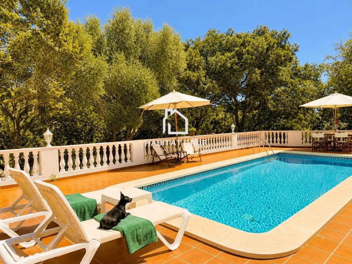 Houses for sale in Son Parc