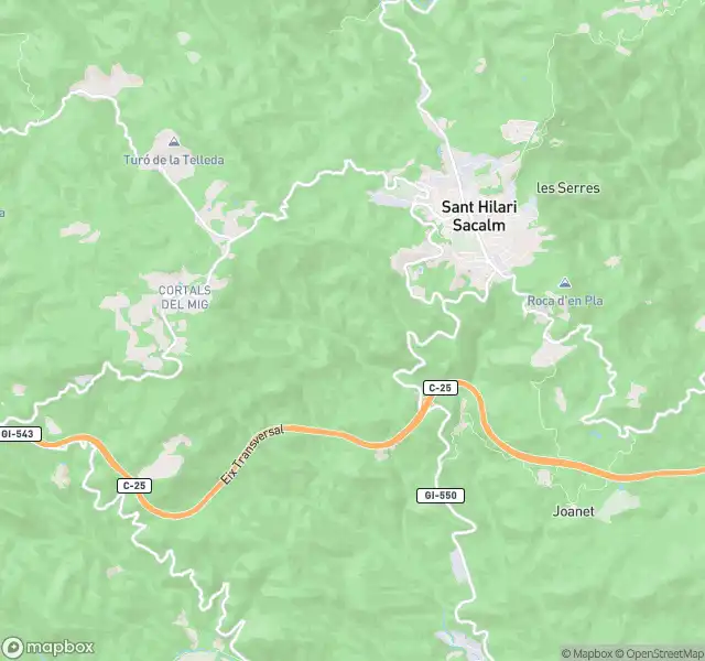 Piso en venta en Sant Hilari Sacalm