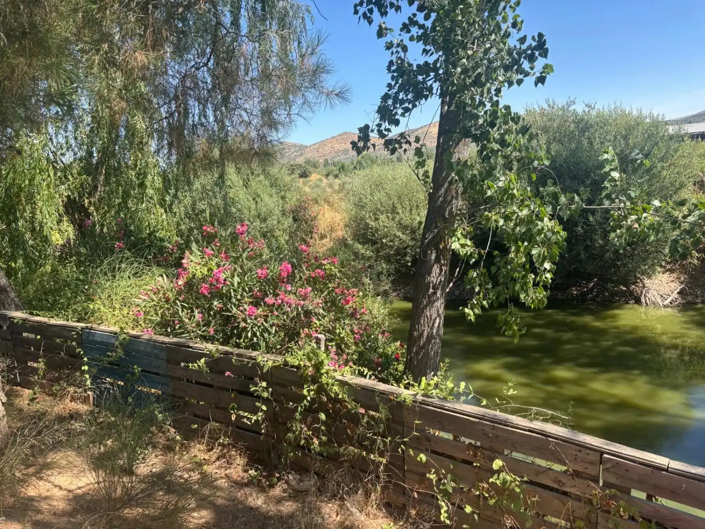 Xalet en venda a Malagón, imagen 3