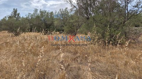 Se vende finca rustica en Roquetes., imagen 4