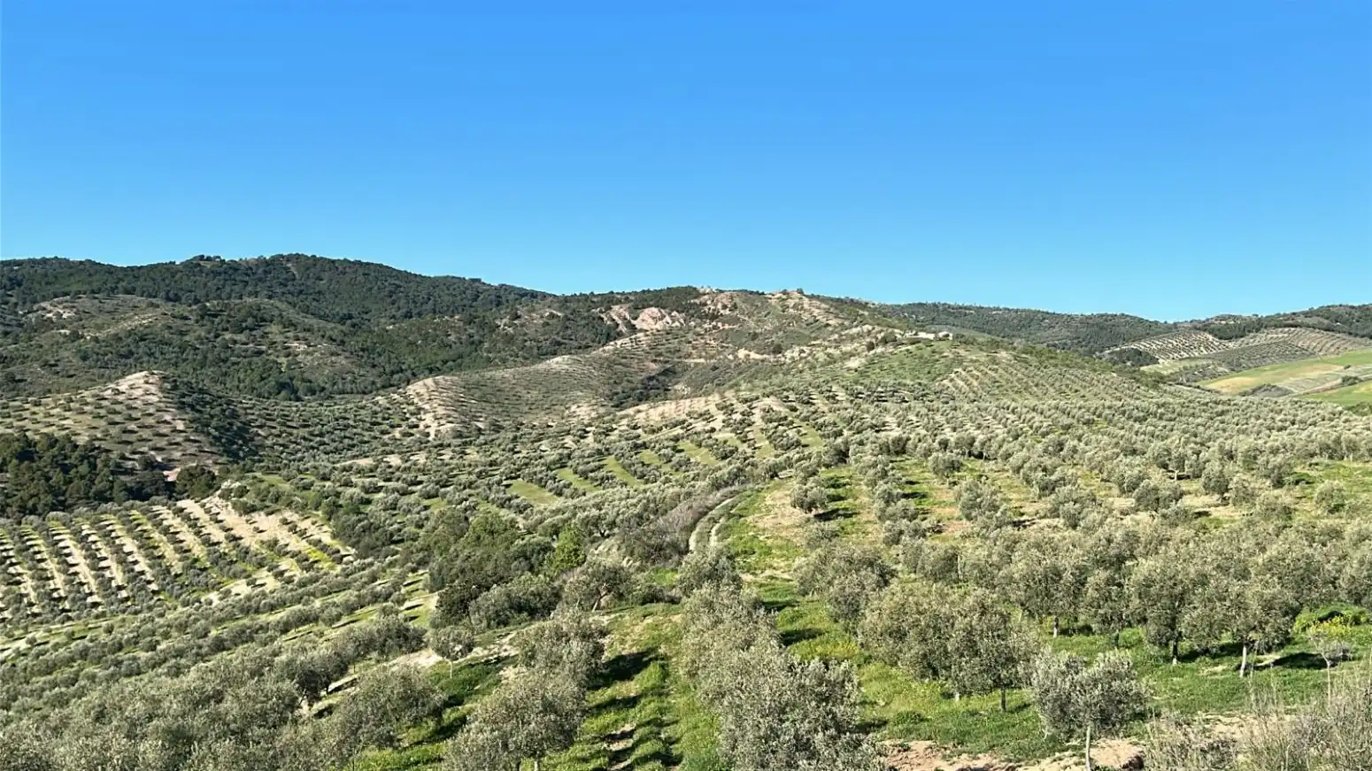 Houses for sale in Ardales