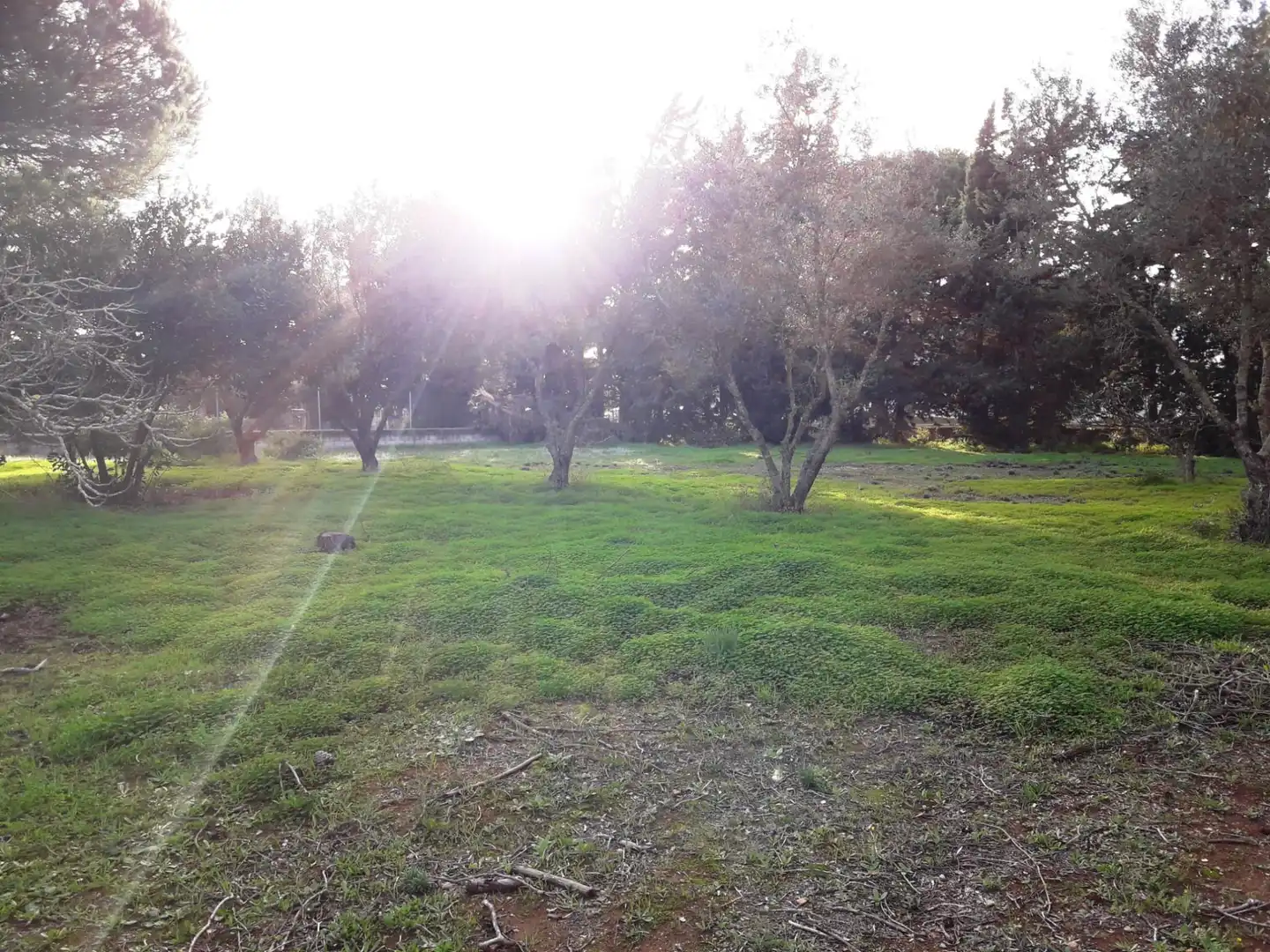 Houses for sale in Chiclana de la Frontera  with Private garden, Terrace and Furnished
