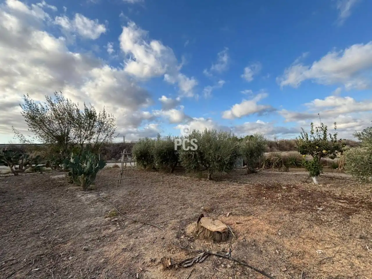 Houses for sale in Totana  with Private garden
