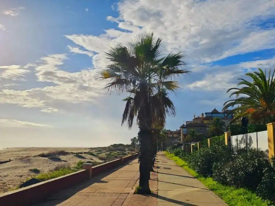 Vista exterior de Apartamento en venta en Costa Esuri