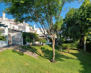 Jardí de Casa adosada en venda en Mairena del Aljarafe amb Jardí privat, Terrassa i Piscina comunitària