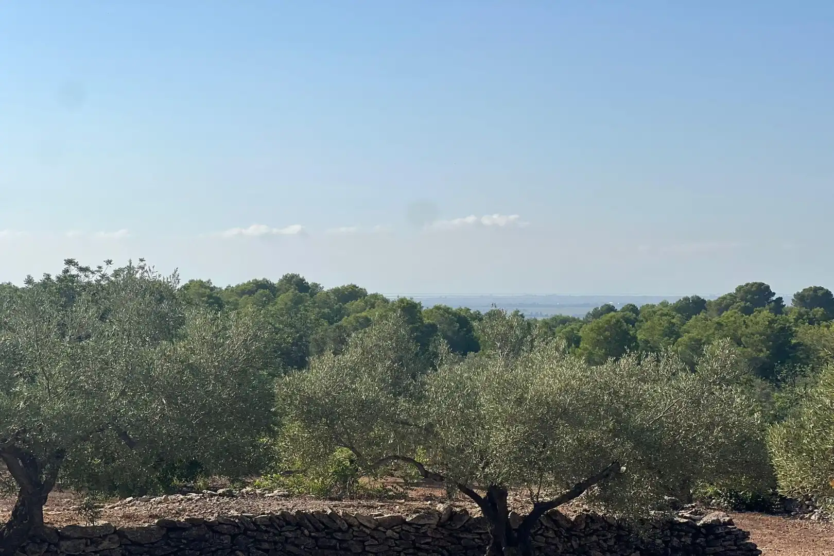 Finca rústica en venta en Tortosa