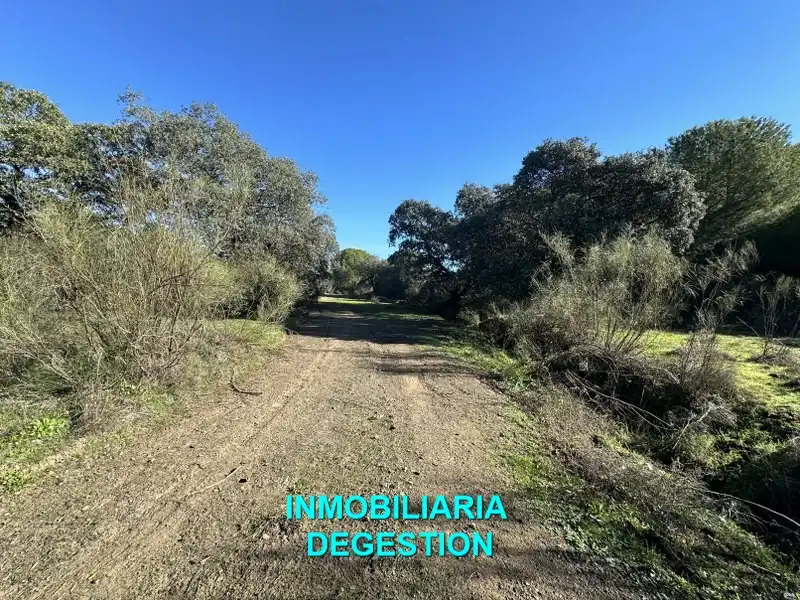 Terreni e lotti in vendita a Andújar, imagen 21