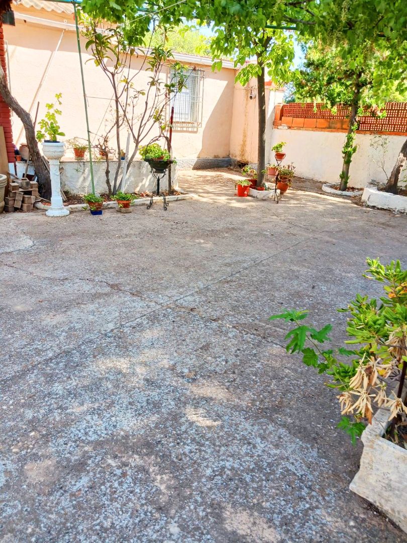 Jardí de Casa o xalet en venda en  Albacete Capital amb Jardí privat, Traster i Piscina