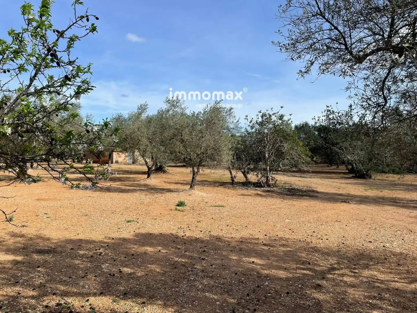 Residential land for sale in 10, imagen 14