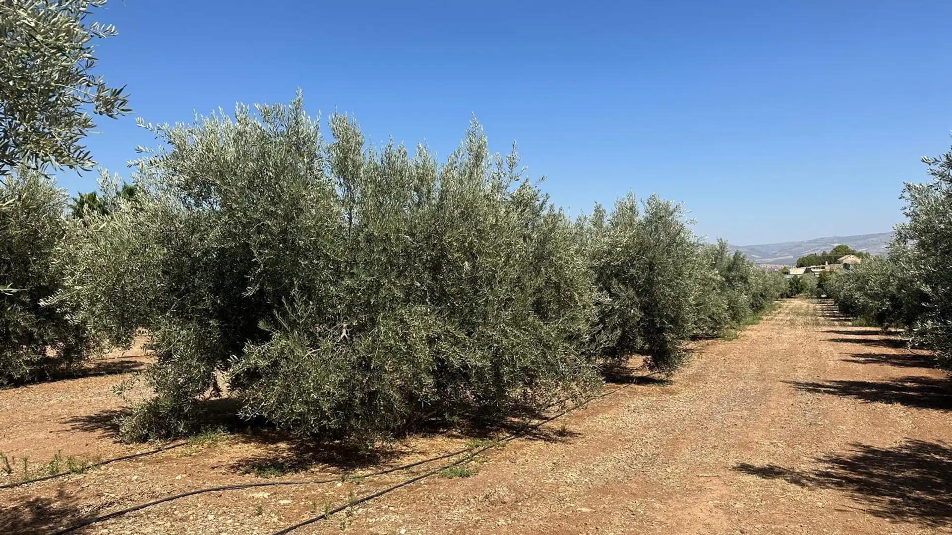 Residencial en venta en Churriana de la Vega