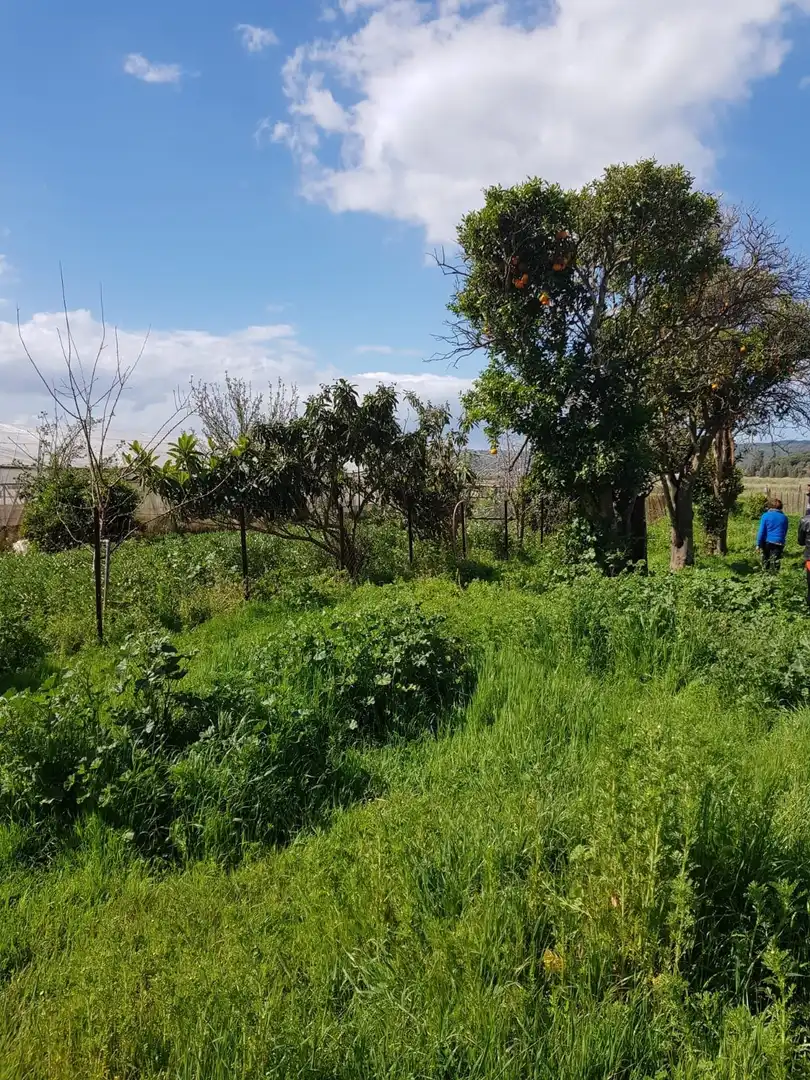 Terreno en venta en Barbate