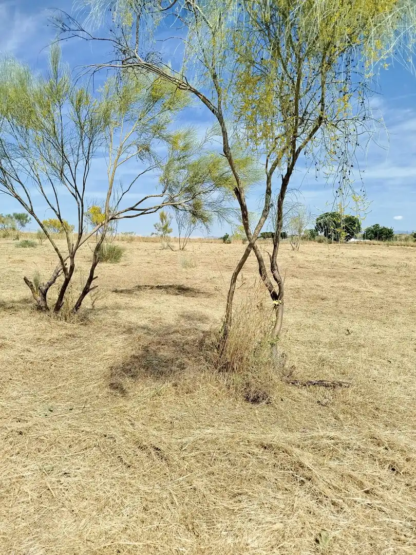 Terreno rústico en venta en Fuencarral - El Pardo, imagen 13
