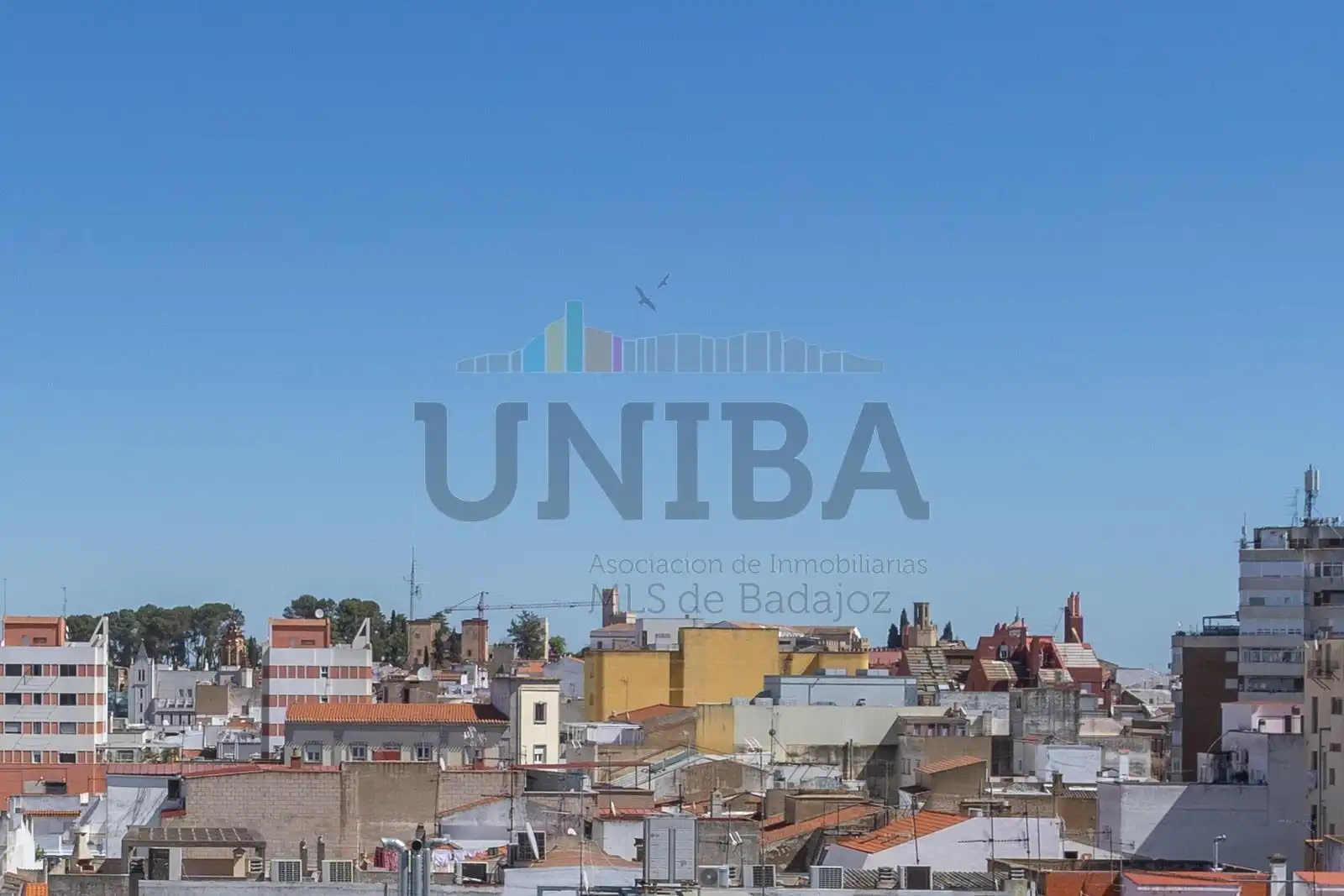 Piso con jardín en venta en Casco Antiguo, imagen 5