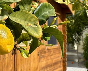 Jardí de Casa o xalet en venda en Níjar amb Aire condicionat, Terrassa i Piscina