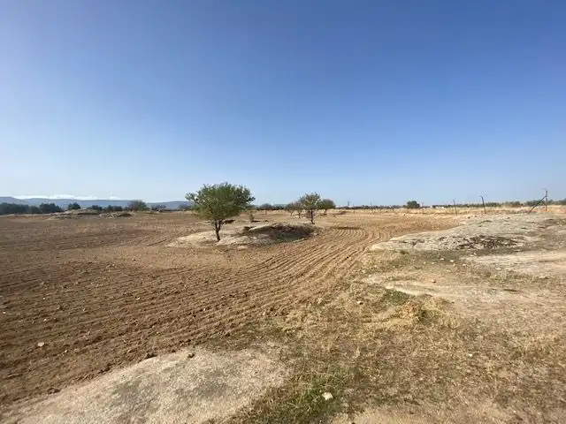Terreny rústic en venda a Sonseca, imagen 7