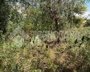Residencial en venda en Valleseco