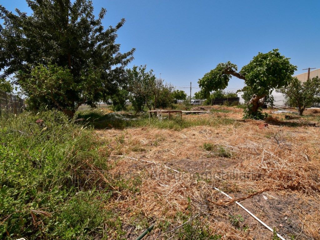 Industrial land to rent in Águilas