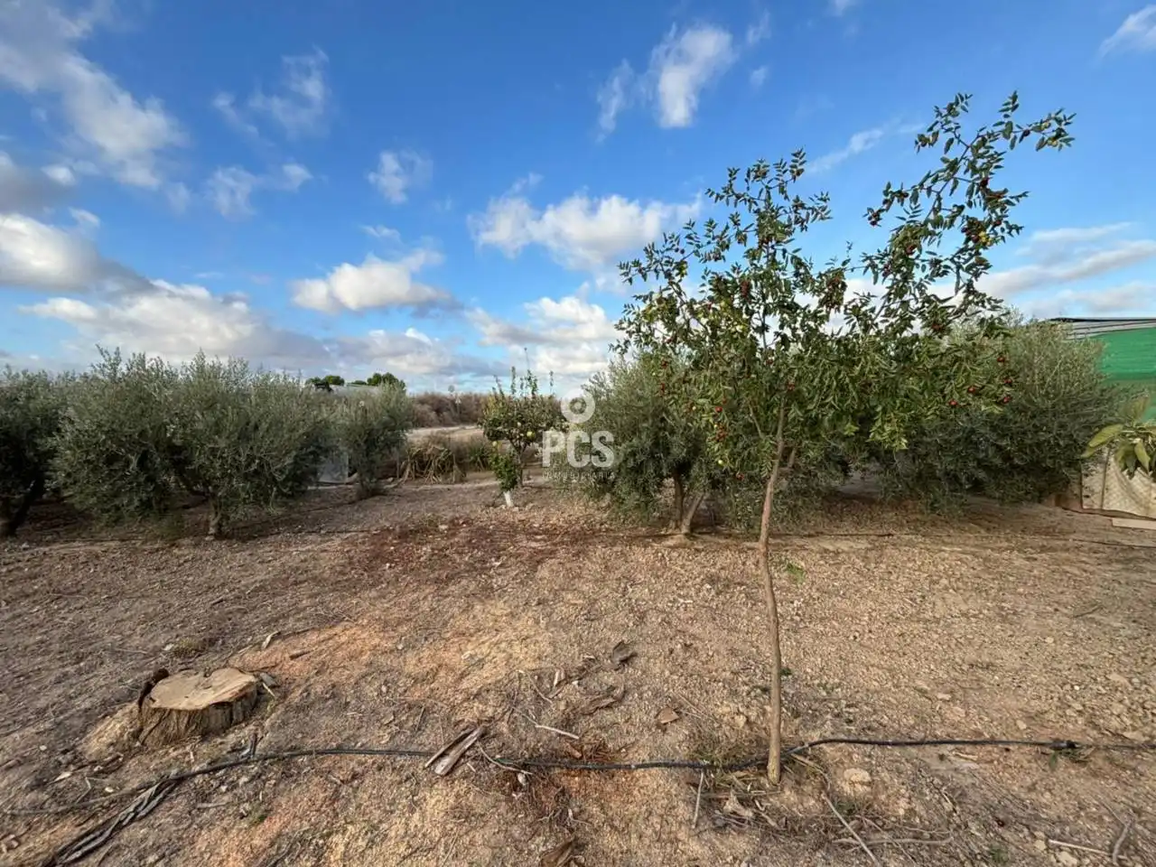 Houses for sale in Totana  with Private garden
