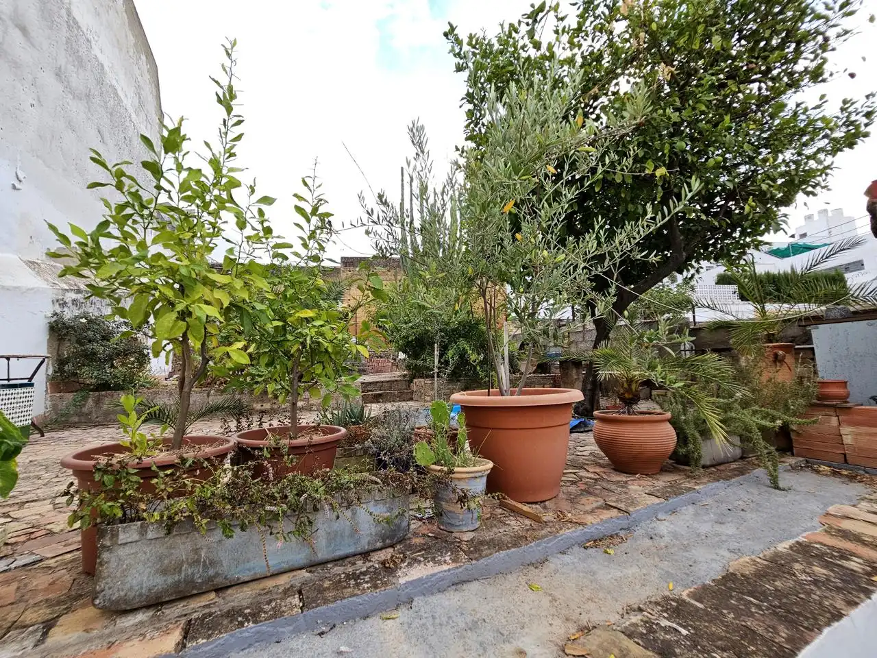 Jardí de Casa o xalet en venda en Alcalá de Guadaira