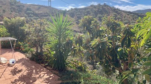 Foto 4 de Casa o xalet en venda a Canillas de Aceituno, Málaga