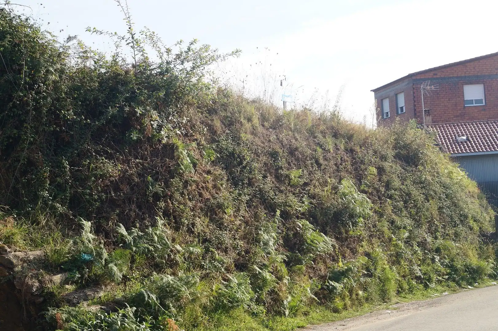Residential for sale in Boiro