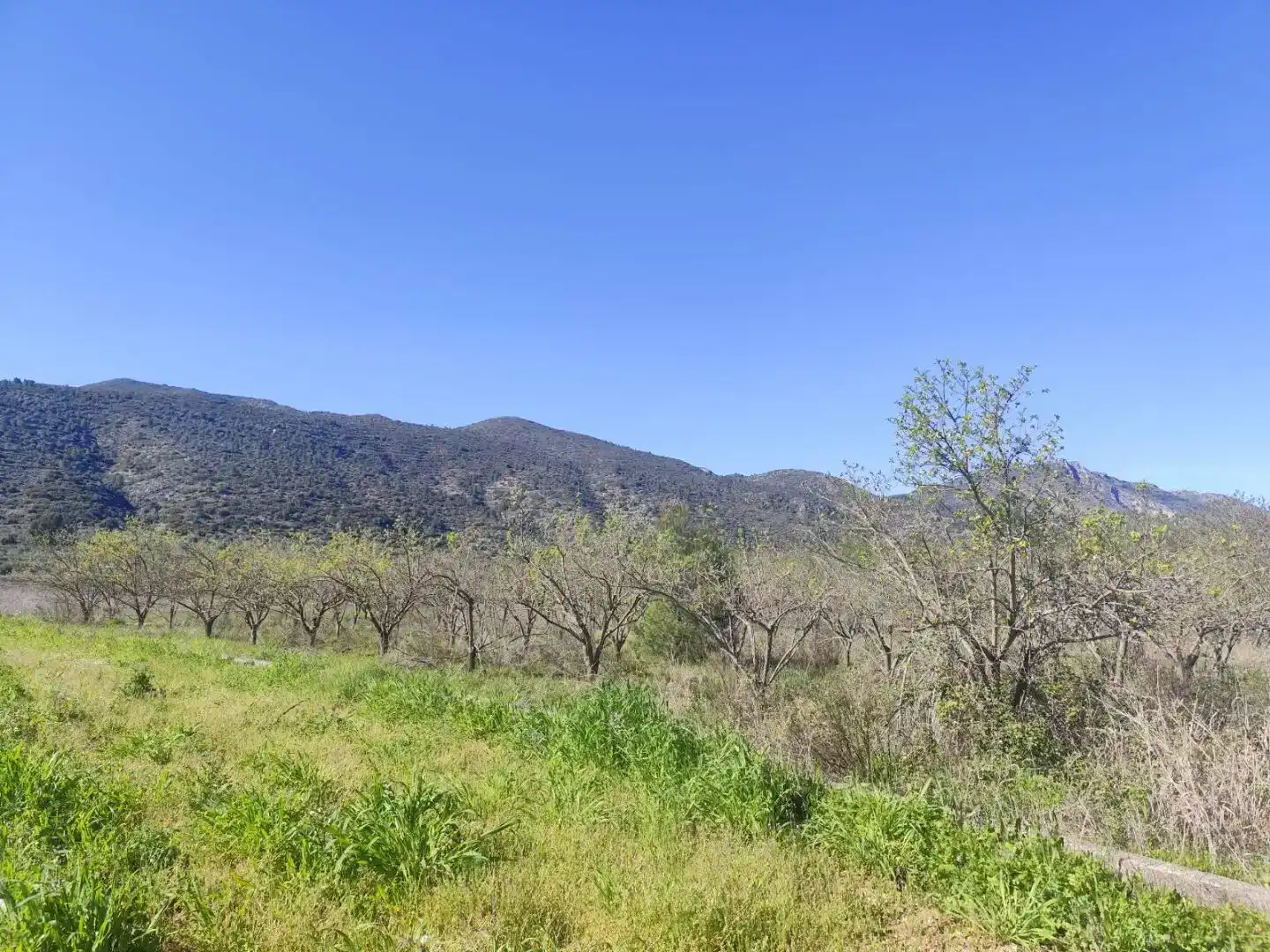 Casa o chalet en venta en Beniarrés con Jardín privado, Trastero y Balcón