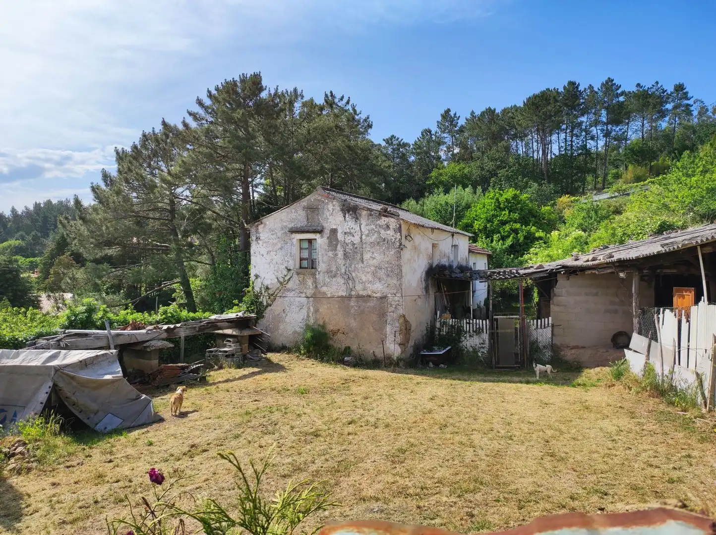 Villa avec jardin à vendre à Nabeiras, imagen 8