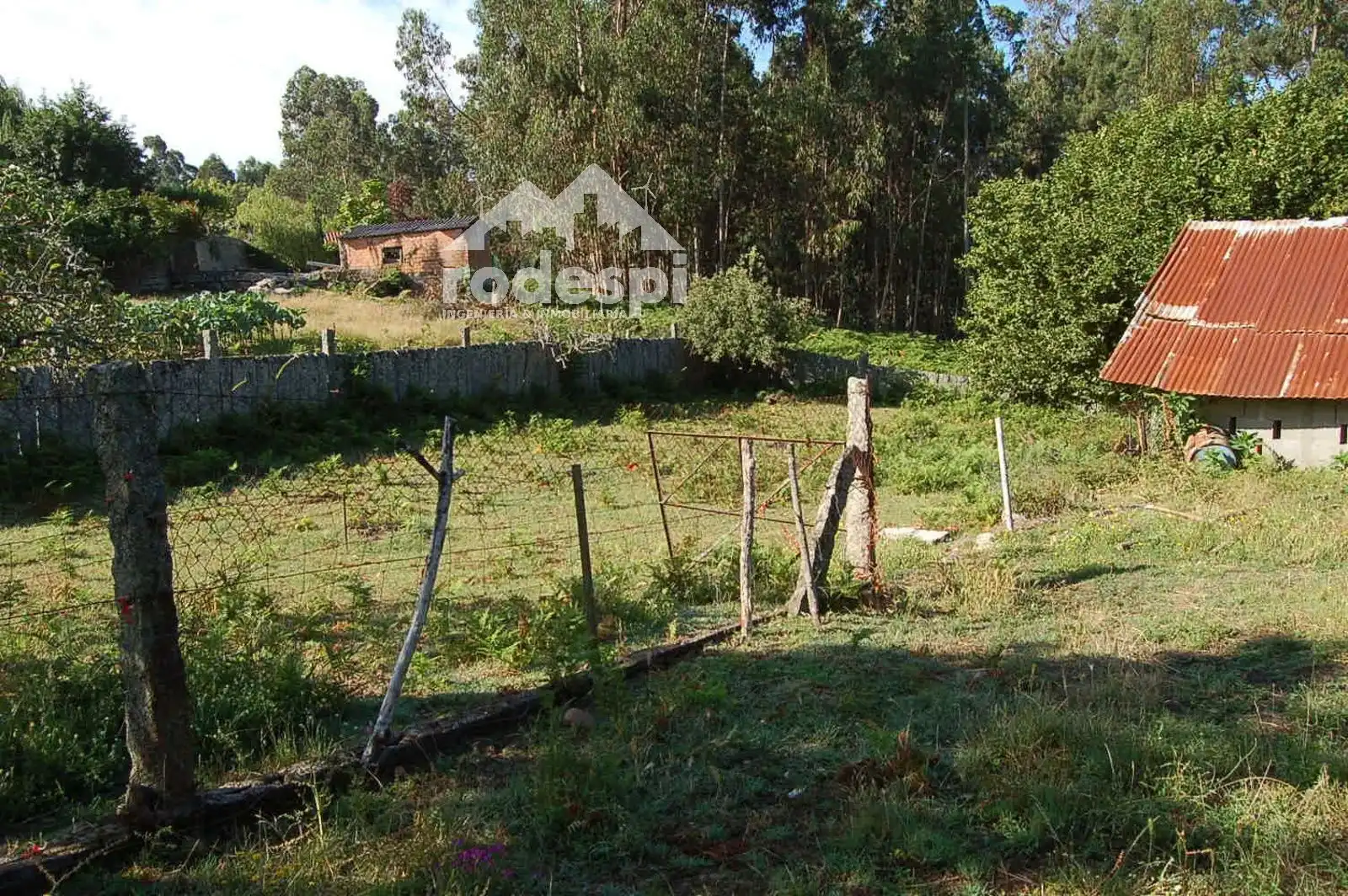 Terreny rústic en venda a Salvaterra de Miño, imagen 8