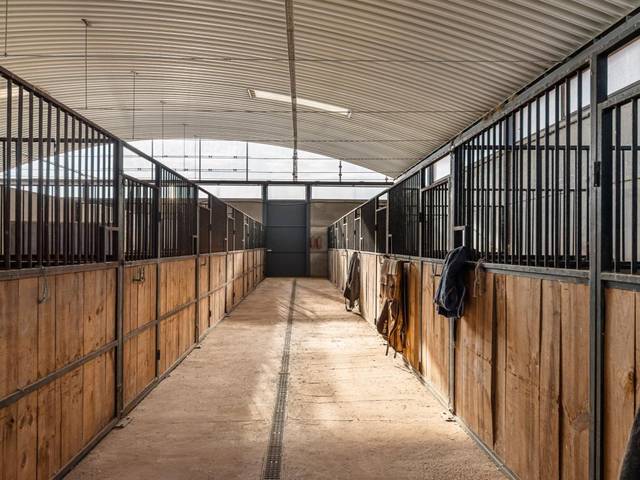 Casa-chalet en Venta en Senda de la Galiana en Pozuelo del Rey