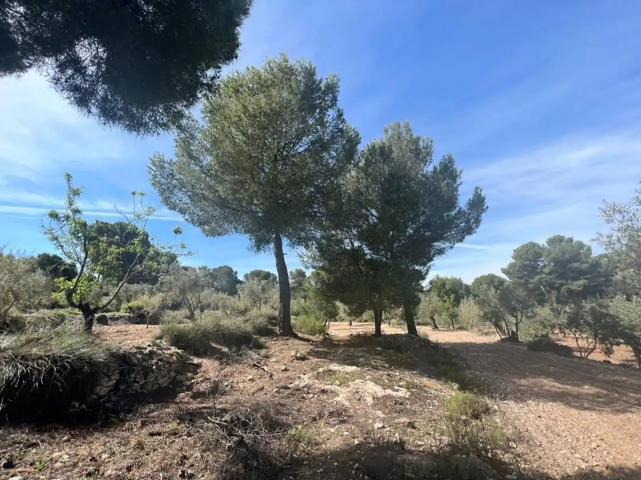 Chalet con jardín en venta en Calle Poligono, imagen 139