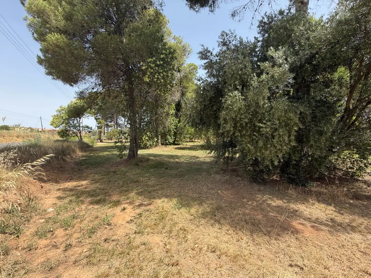 Residencial en venda a Camí de Lleida, 14, Els Alamús