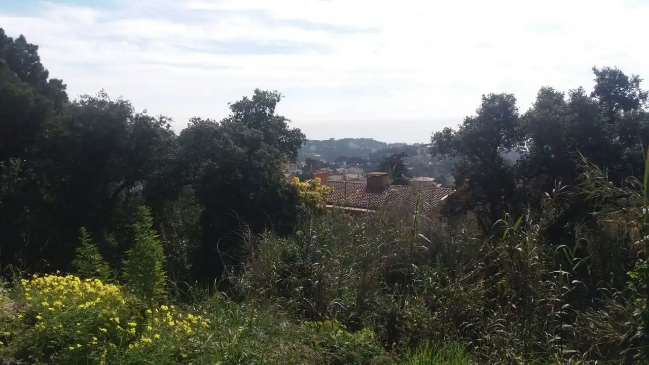 Terrenys i solars en venda a Roca Grossa, imagen 3