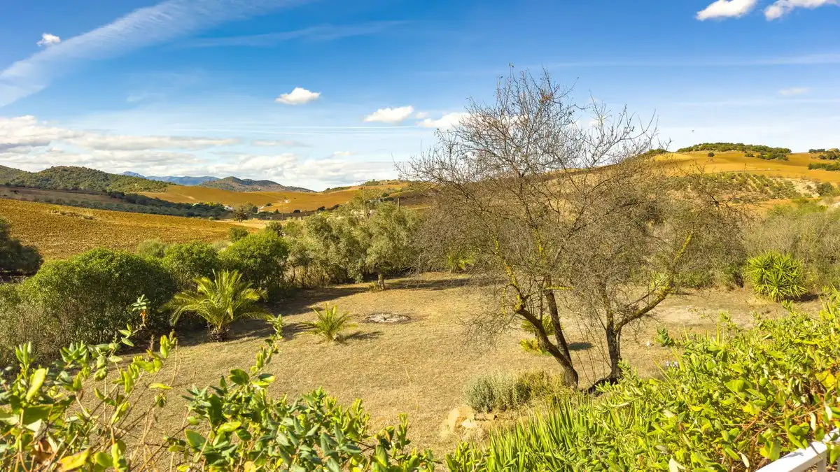 Casa o xalet en venda en Almogía amb Aire condicionat, Jardí privat i Terrassa