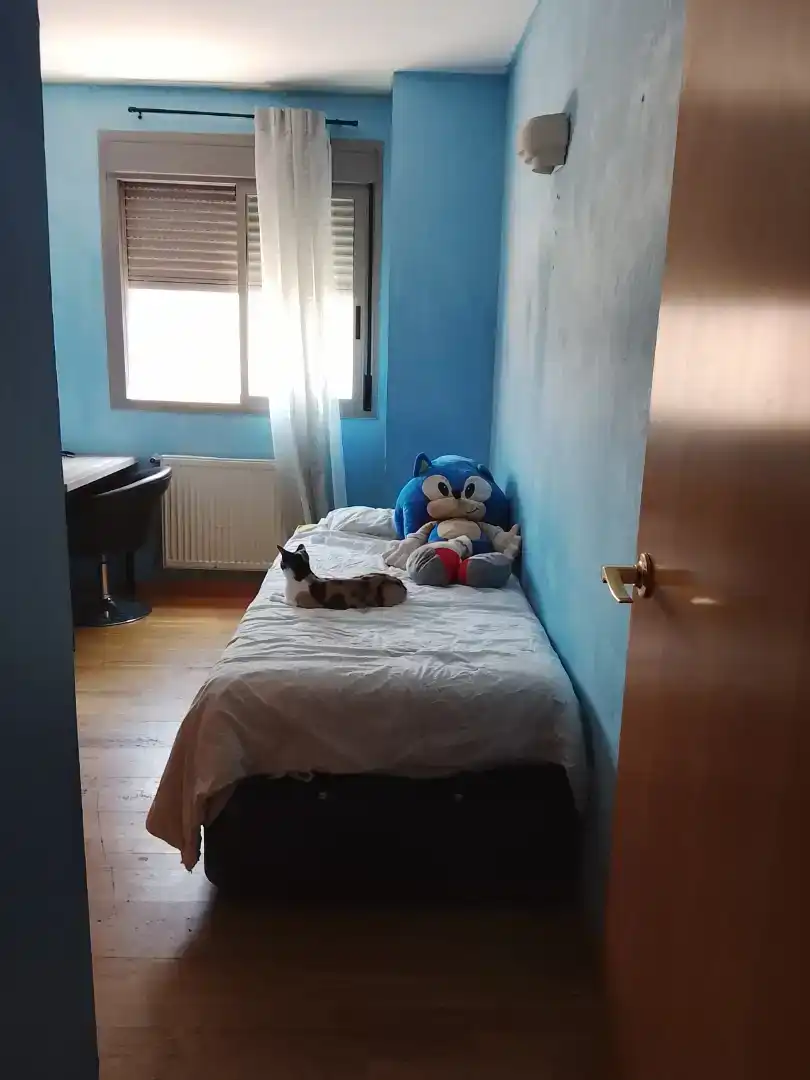 Bedroom of Flat for share in Madrid  with Balcony
