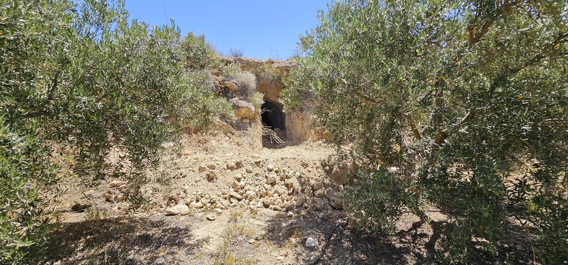 Terreno en venta en Bentarique