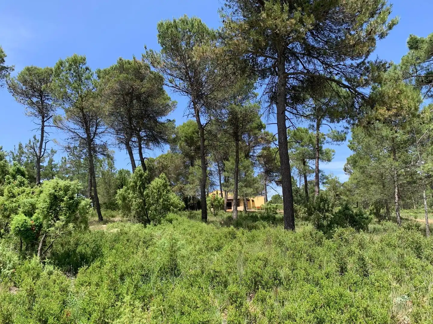 Country homes for sale in Cortes de Pallás  with Heating and Swimming Pool