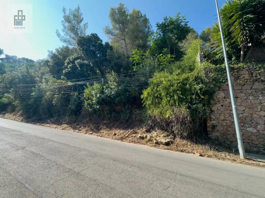Wohnbaugrundstück zum Verkauf in Calle Vallirana, imagen 4