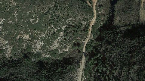 Foto 3 de Terreno en venta en Pt Rincón del Pehuet , Las Pedrizas, Chiva