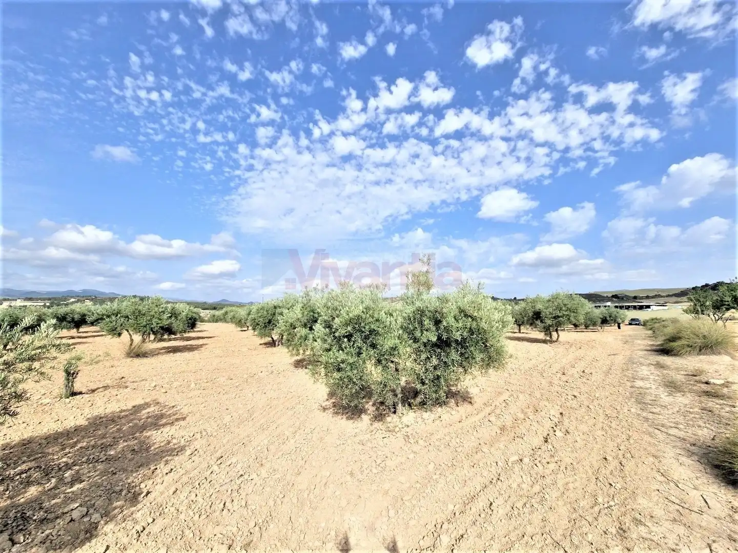 Casa o chalet en venta en Lorca